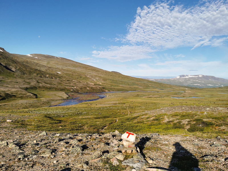 Can you spot the reindeer?