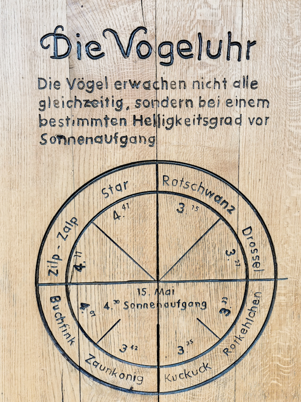 The bird clock. Depending on the time of the morning, you will hear different birds.