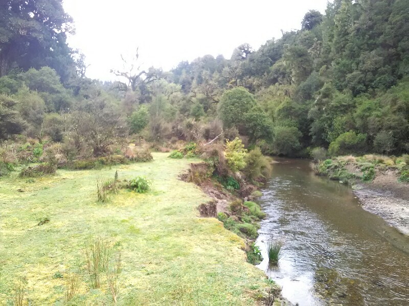 Following the river