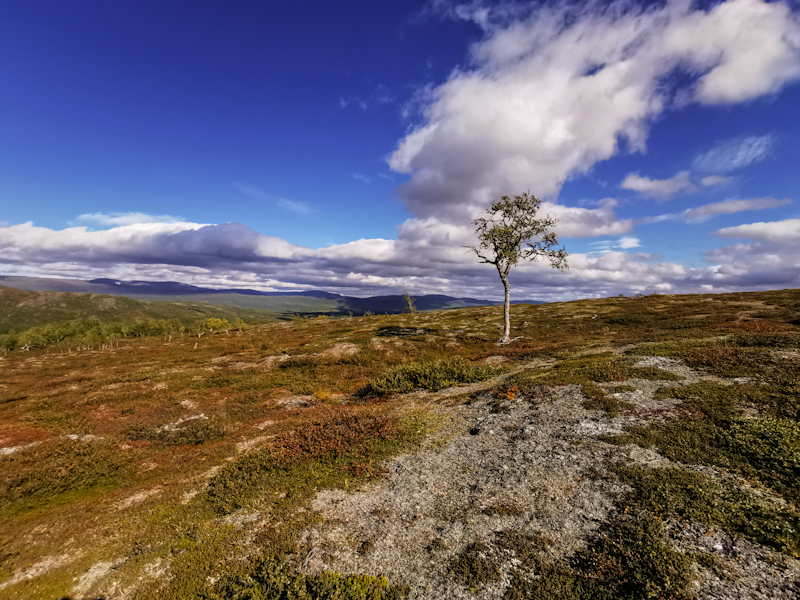 Bjorgefell National Park