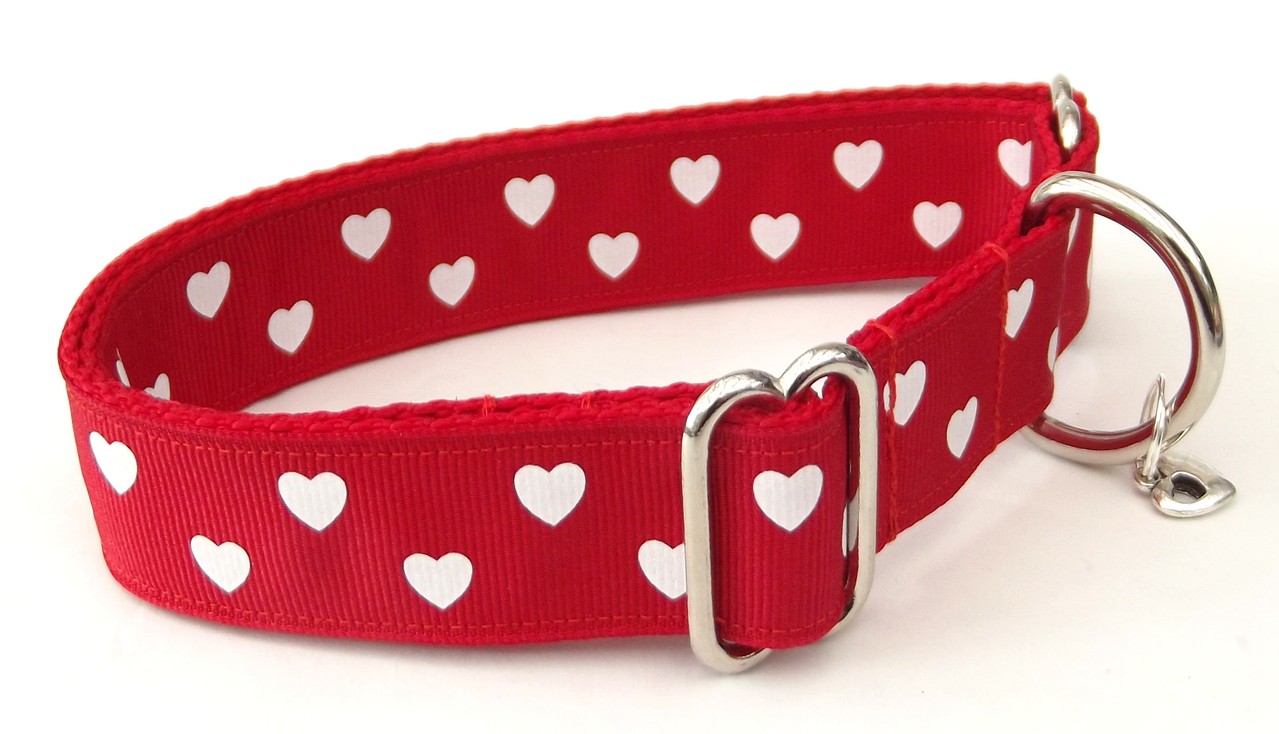 Valentine Collars Fat Paws Collars and leads for your hound