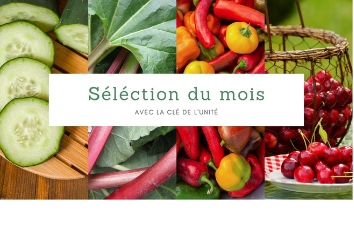 B L O G #78 - Fruits et légumes de saison