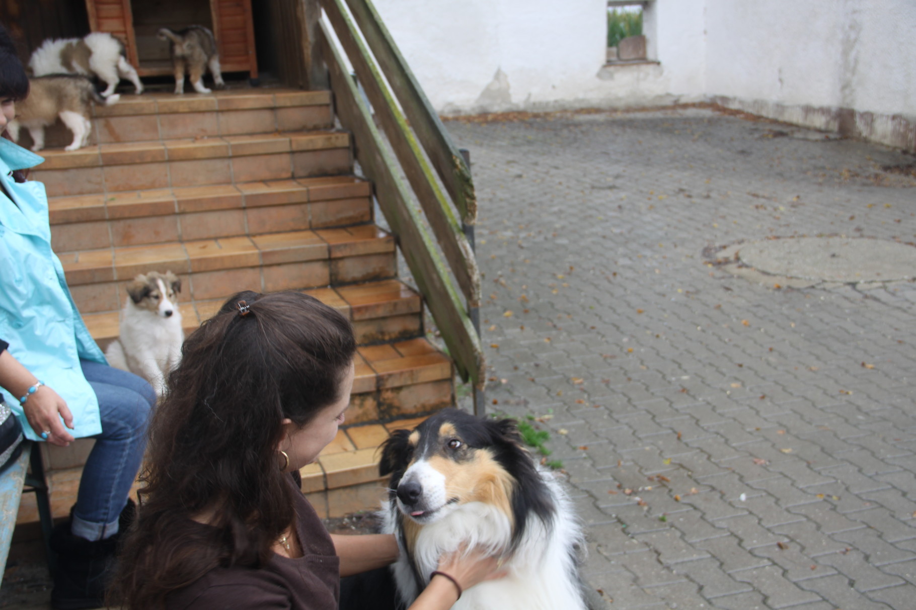 das bin ich mit Schmusepapa Comet! Er war so unglaublich lieb - dass ich ihn am liebsten auch mitgenommen hätte !