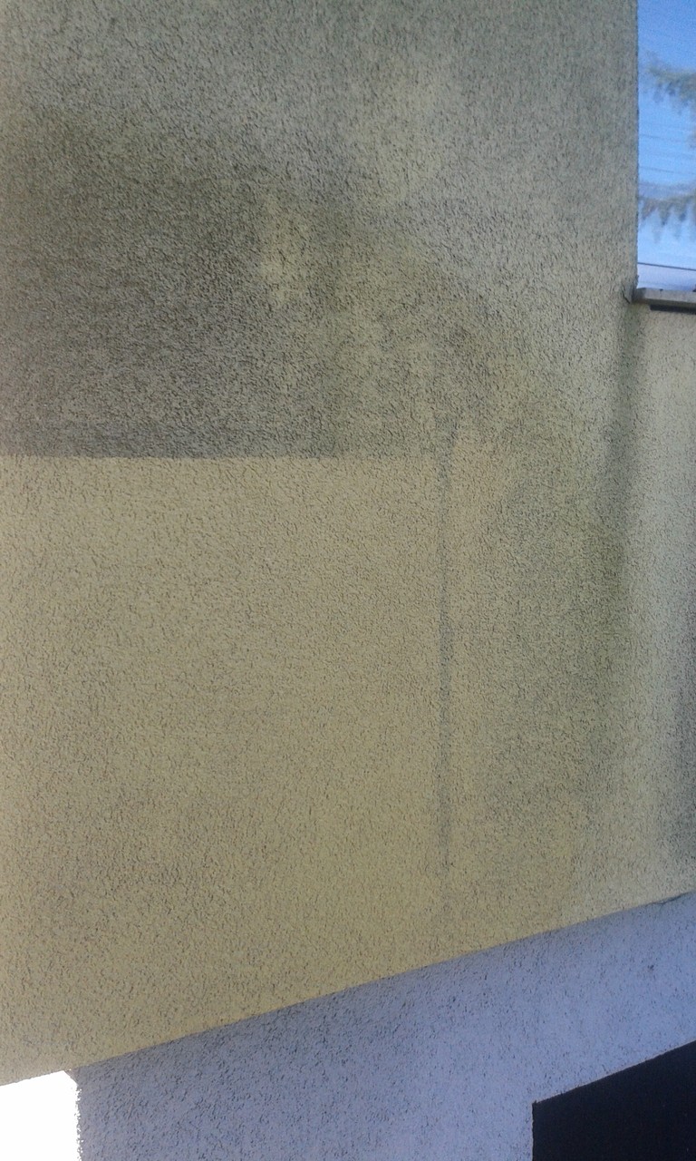 Algenentfernung - Musterfläche