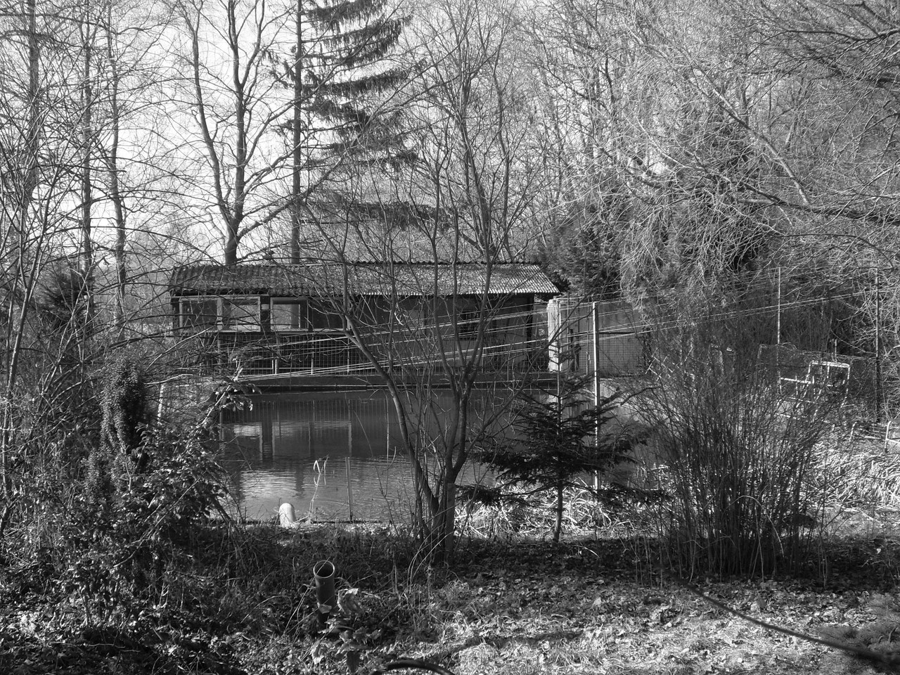 Altes Freibad Lost Places Zeitgeschichte