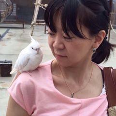 丸山由美恵　ルノルマン・ピケ発売記念お茶会 ルノルマン双六とプチお話会＆リーディング体験 美味しいお茶菓子付きです。  ４月２２日（日曜日） 11時〜15時 明石市内  https://ameblo.jp/artyumie/entry-12359090695.html