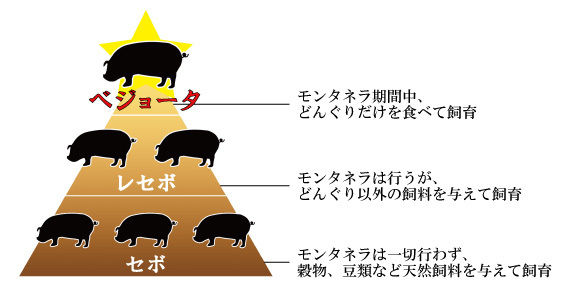 イベリコ豚のランク