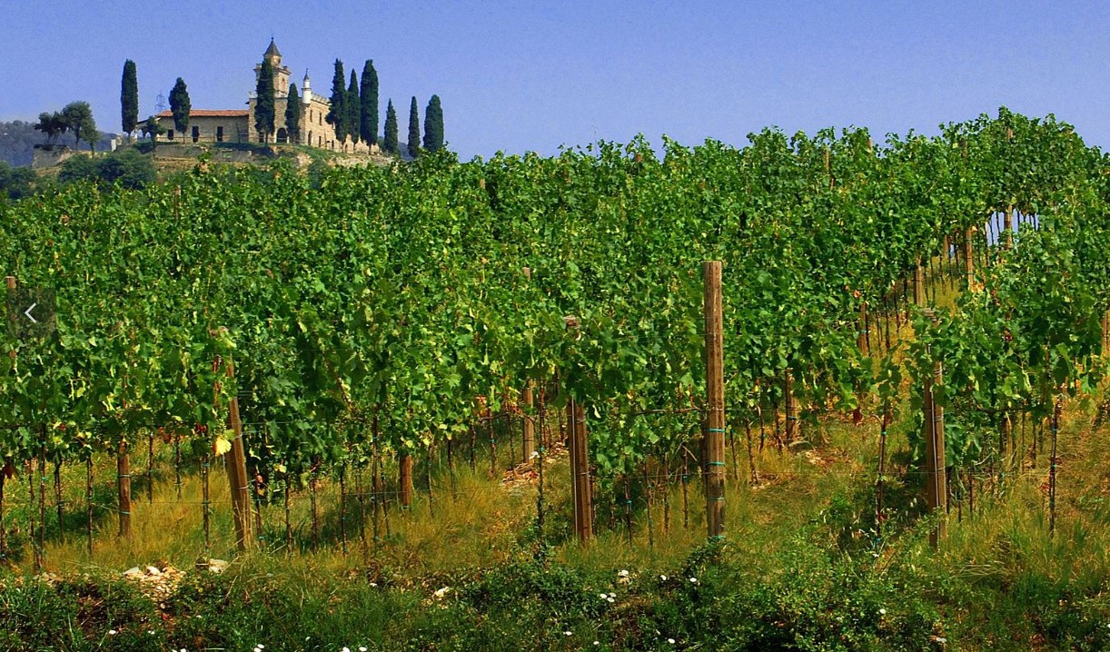 Better than Champagne: the elegance of Franciacorta