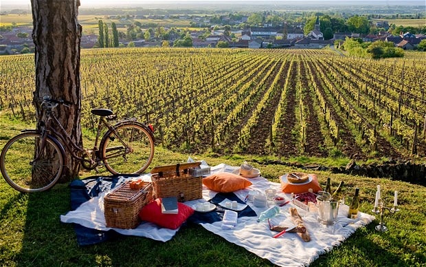 International Picnic Day in Italy!