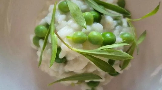 Risi e Bisi - a modern take-on of the traditional Venetian dish