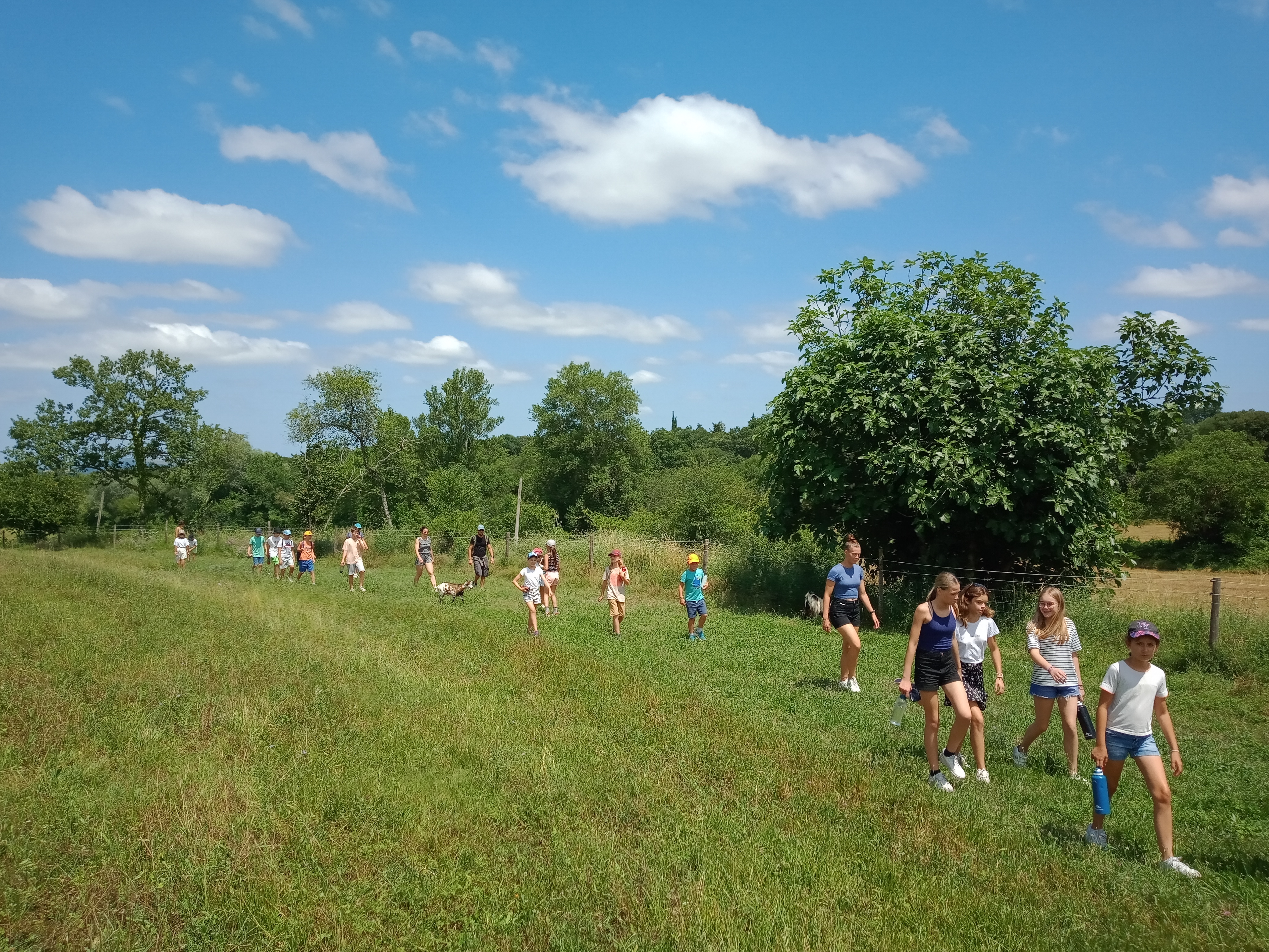 La ferme des lutins