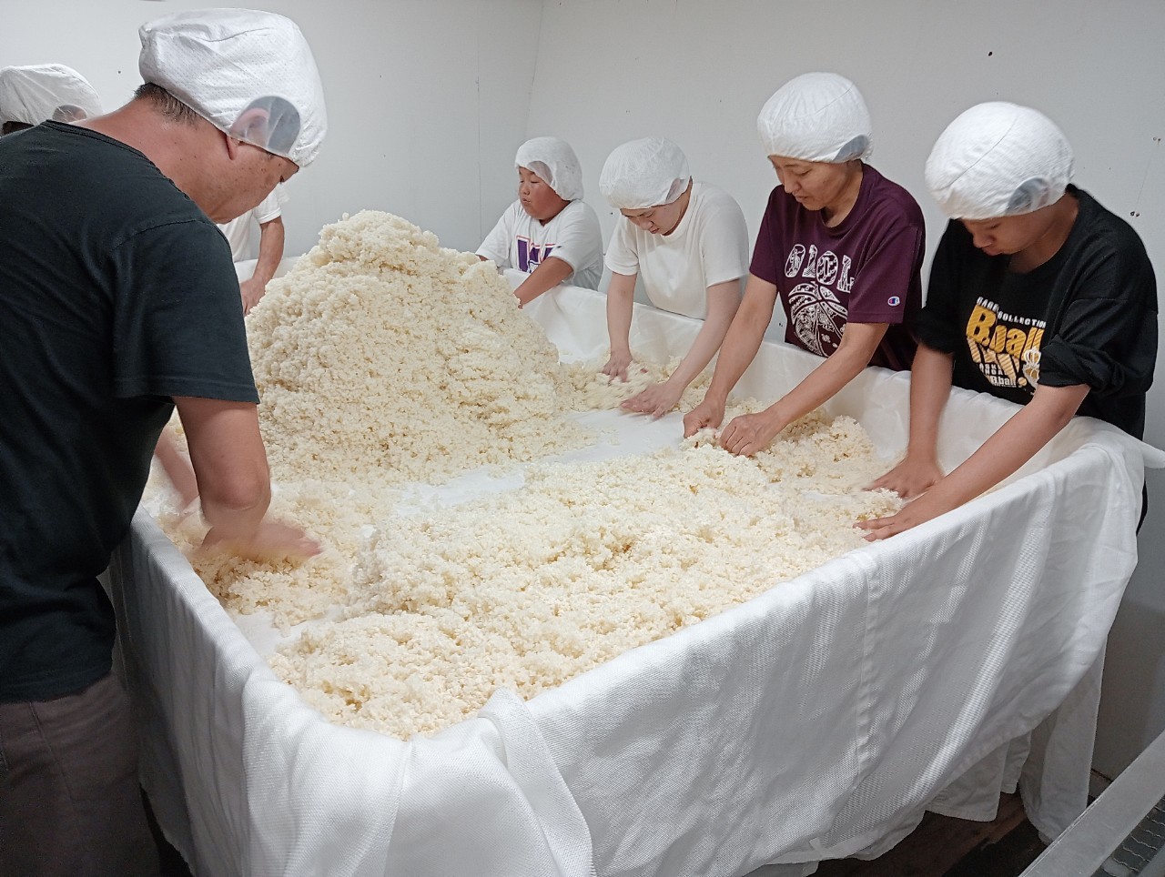 小池糀店での米糀研修レポート