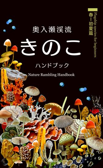 きのこハンドブック（春～初夏） - 奥入瀬自然観光資源研究会 おいけん