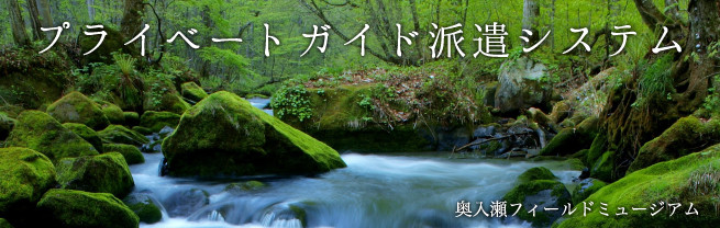 奥入瀬渓流プライベートツアー