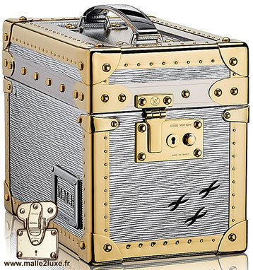 Boîte à promenade PM Louis Vuitton - Epi Aluminium