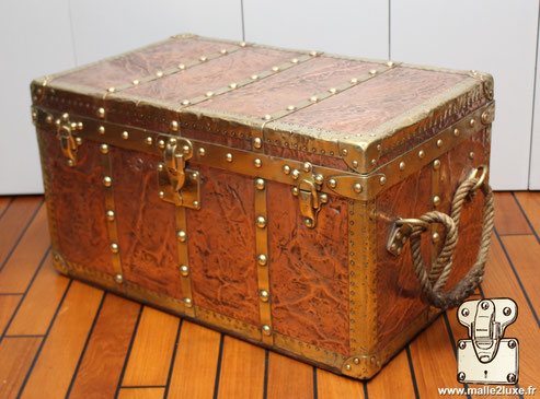 Malle a appareil photo Louis Vuitton en cuivre et laiton