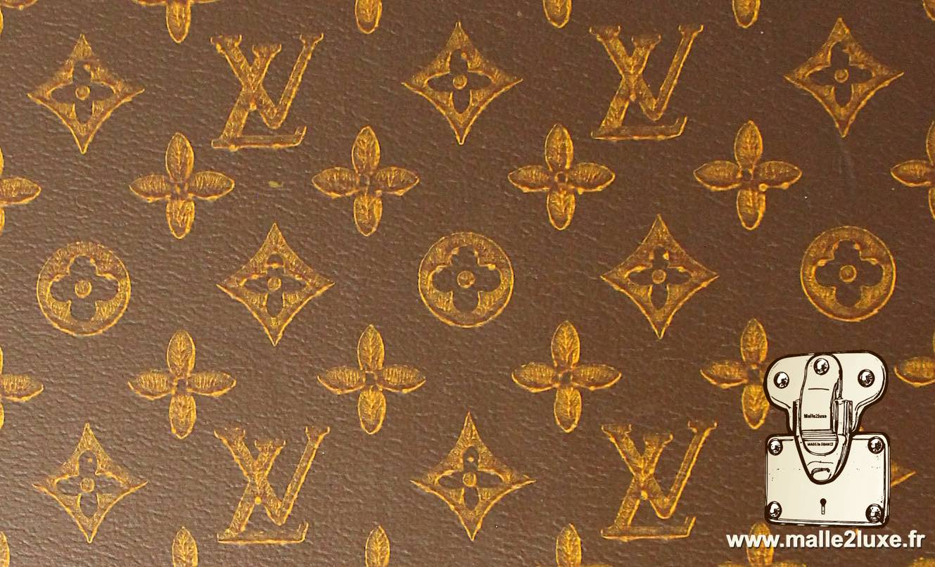 toile louis vuitton