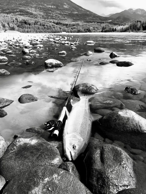 スティールヘッド　Steelhead　スウィートグラス　バンブーロッド　Bamboo Rod　Sweetgrass