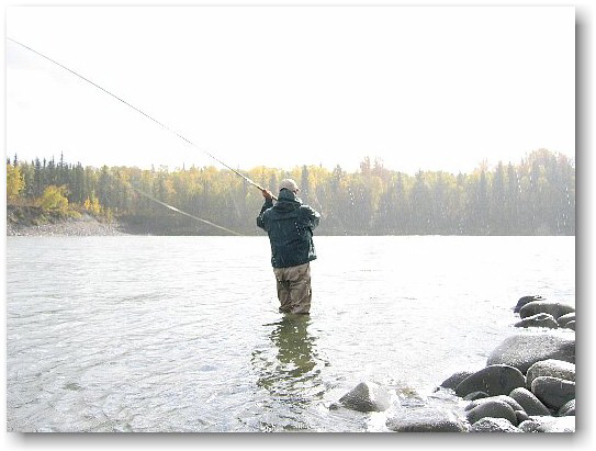 Steelhead Spey Skeena