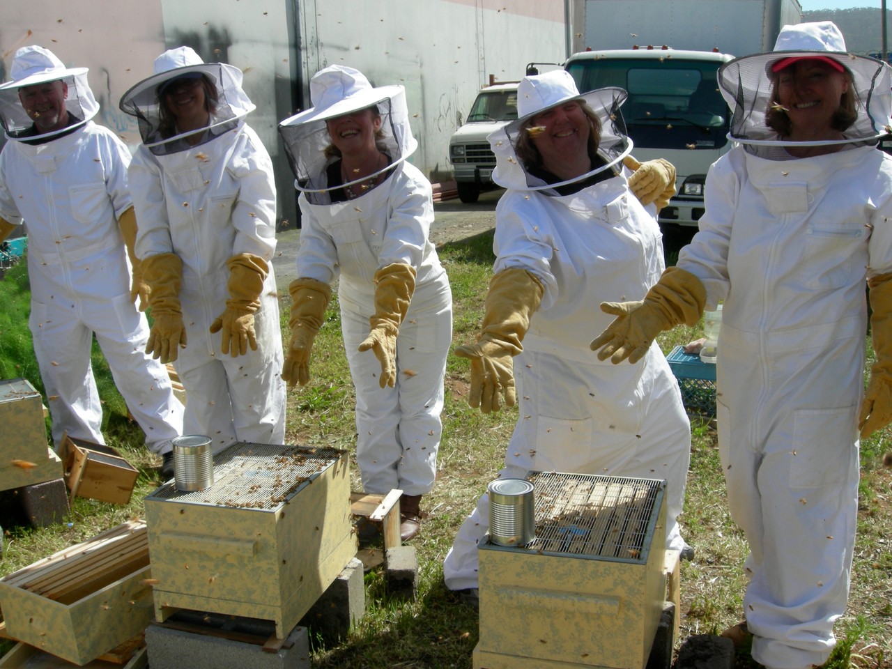 Beginner & Advanced Beekeeping Classes HandsOn in the Hive SF Honey
