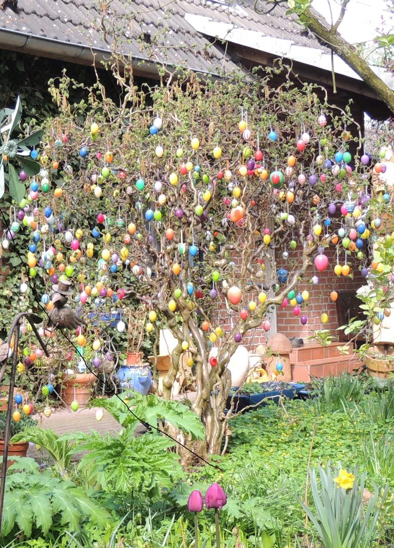 Wie viele Eier mögen wohl an diesem Baum hängen?