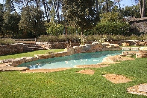 piscine lagon avec pelouse