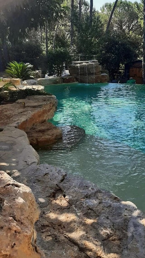 piscine naturelle