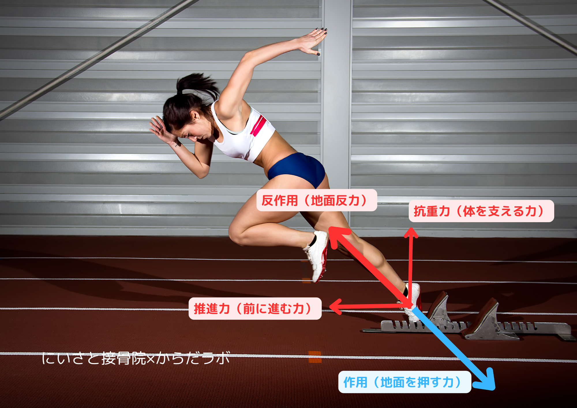 足が速くなるスポーツ理論②-a【走りに繋がる基礎トレ】