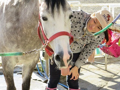 馬が同志の契りの時に見せるサイン