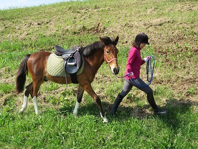 自分達で馬を飼うように