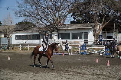 自分の身体や思考をよく観察すれば楽になるよ