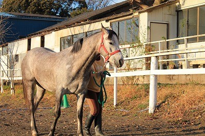 グランドワークでバック