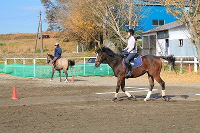 馬の気持ちを感じ続ける