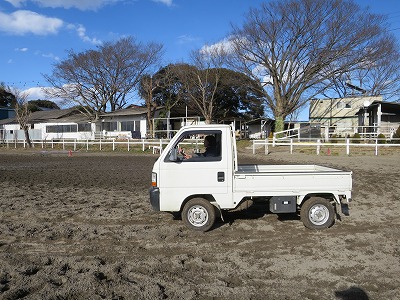 素敵な乗馬体験