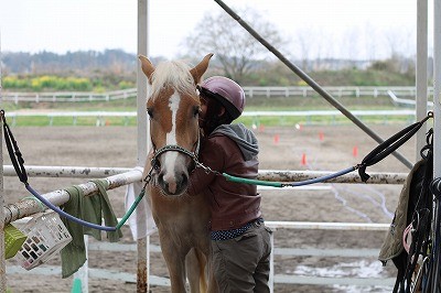 最高の体験乗馬