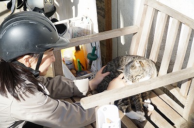 相手の反応を真に見る