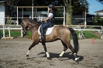 良い馬を体験して自分自身の成長を