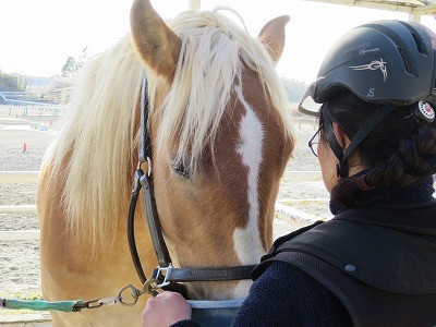 馬とのコミュニケーション