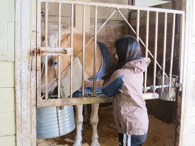 体験乗馬で馬のエサやり体験