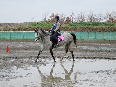 美しい乗馬の姿勢