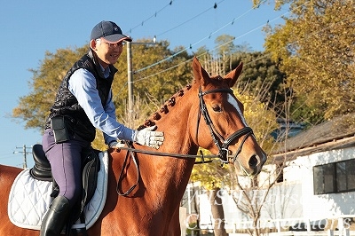 馬に優しい乗馬