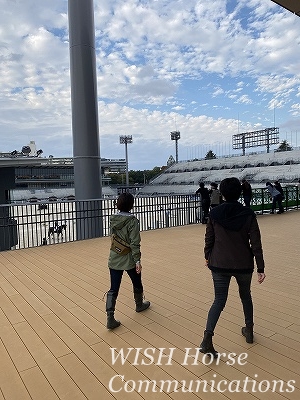 全日本馬場馬術大会