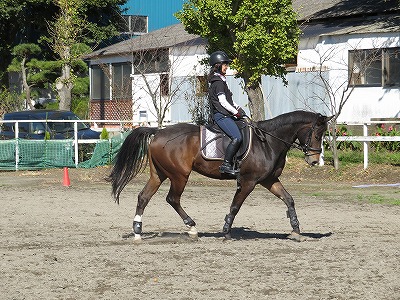 人と馬の心