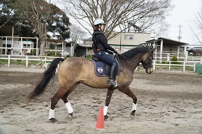 馬とのコミュニケーションを大切に