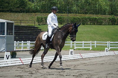 全日本馬場馬術大会