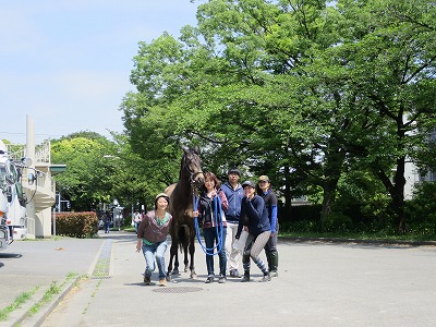 馬術競技会
