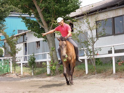 フリーダムホースライディング