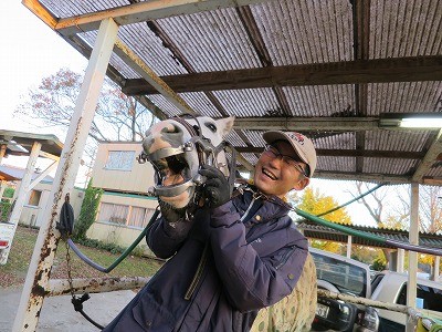 馬のビットシート