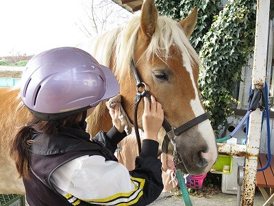 体験乗馬で馬とハッピーコミュニケーション