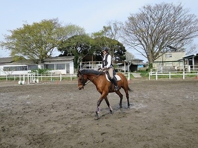 オリンピック乗馬